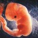 6wks.jpg